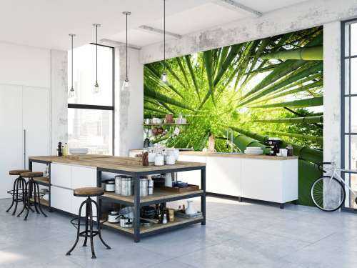 Bamboo