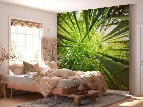 Bamboo