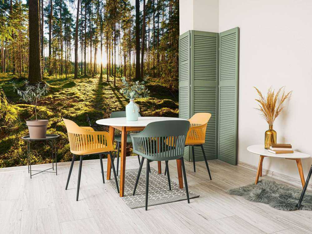 Pine forest