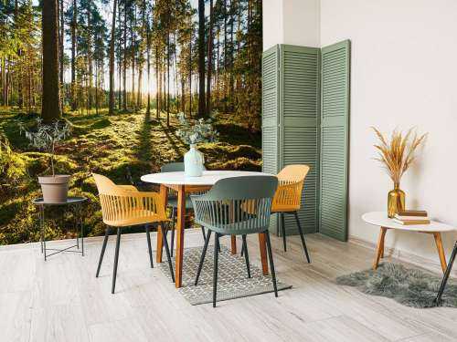 Pine forest