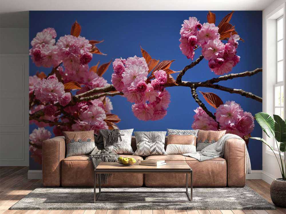 Mooie roze bloesem