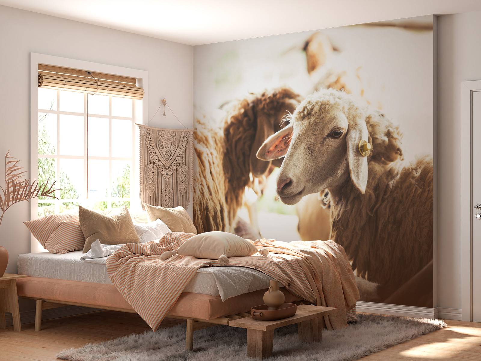 Sheep in stable