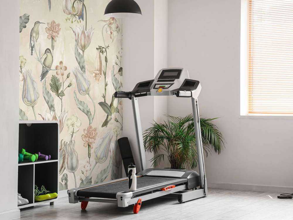 Spring Hummingbird Symphony - Desert Whisper