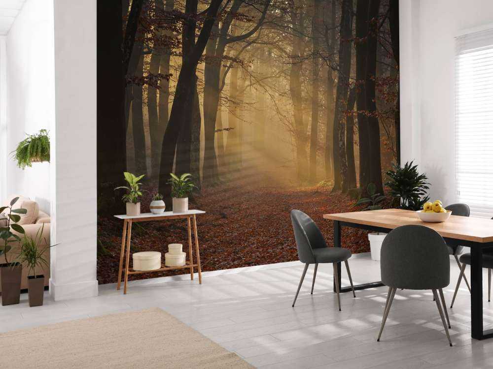 Mysterious autumn forest