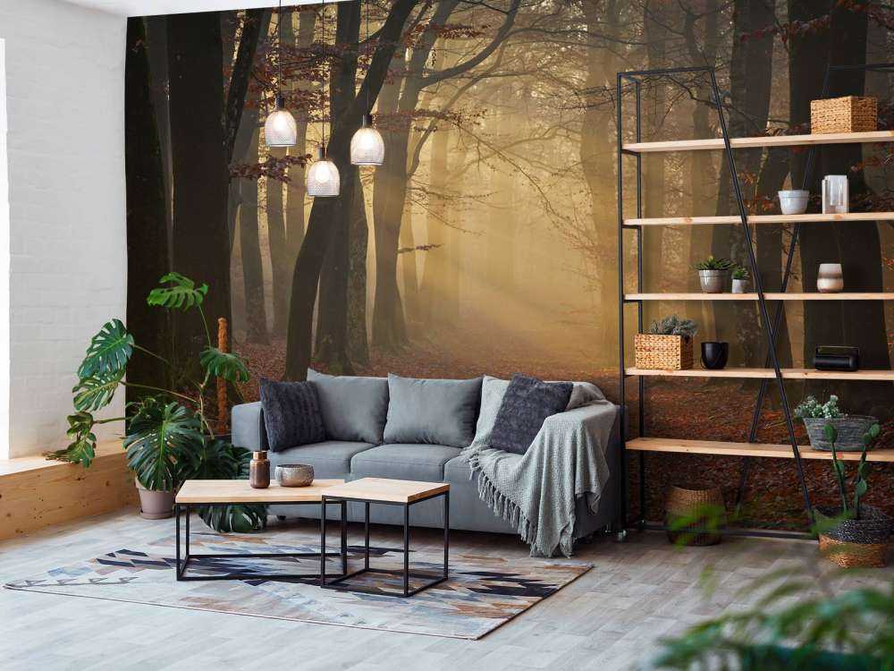 Mysterious autumn forest