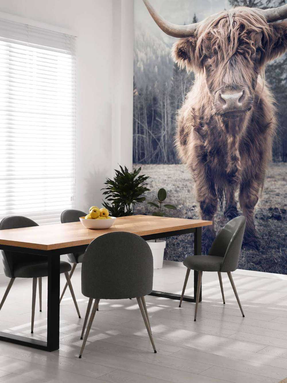 Scottish Highlander by the forest