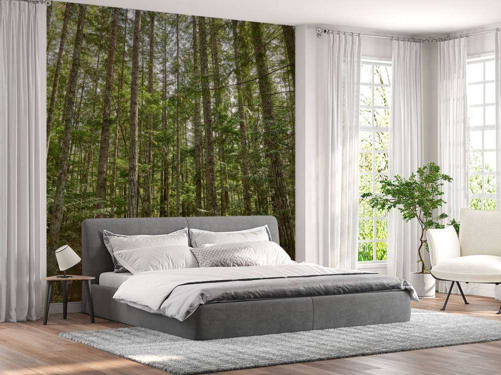 Thin trees in the forest