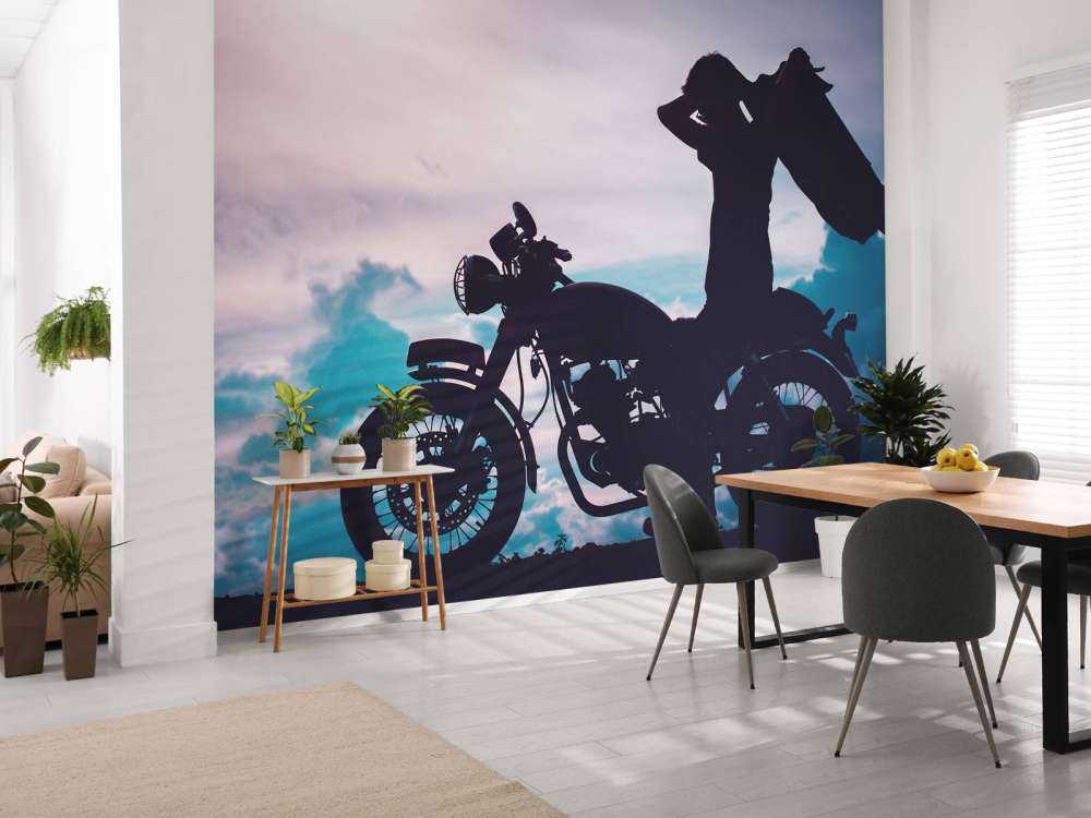 Silhouette motorcyclist