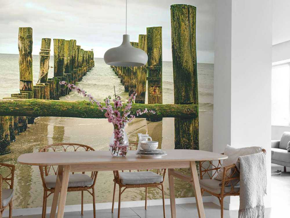 Mossy pile heads in the water