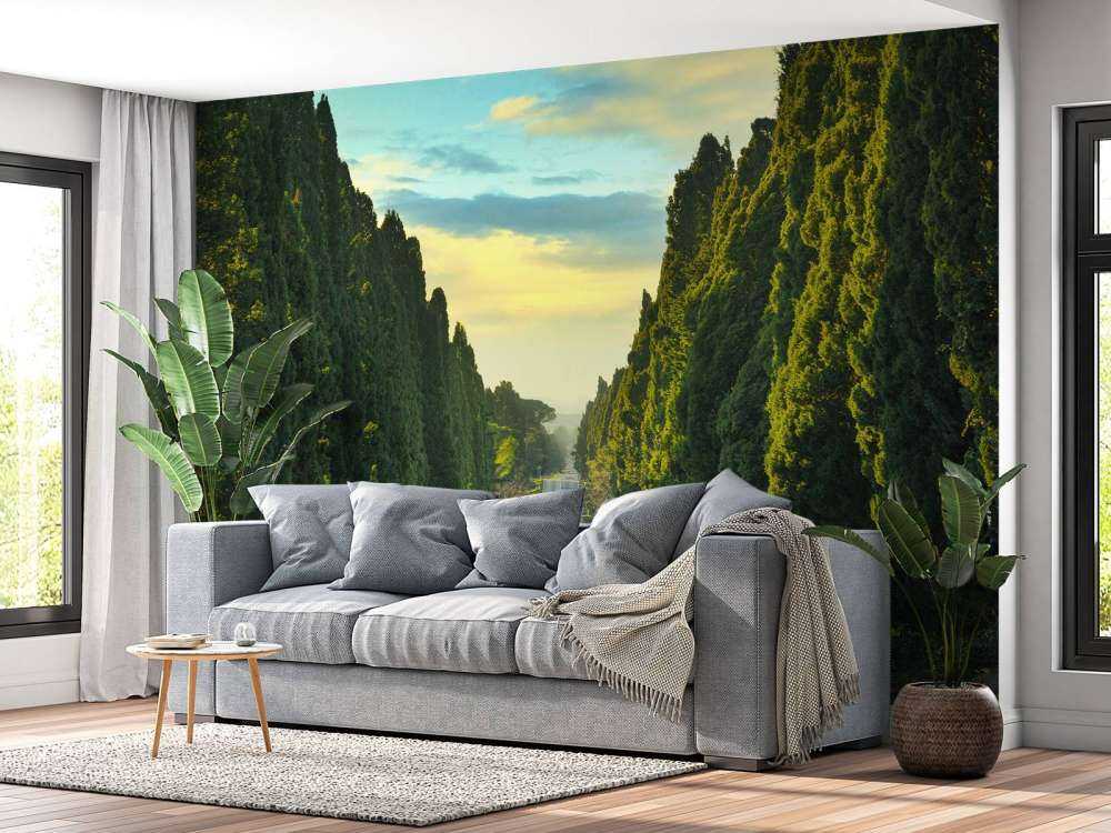 Road with tall trees