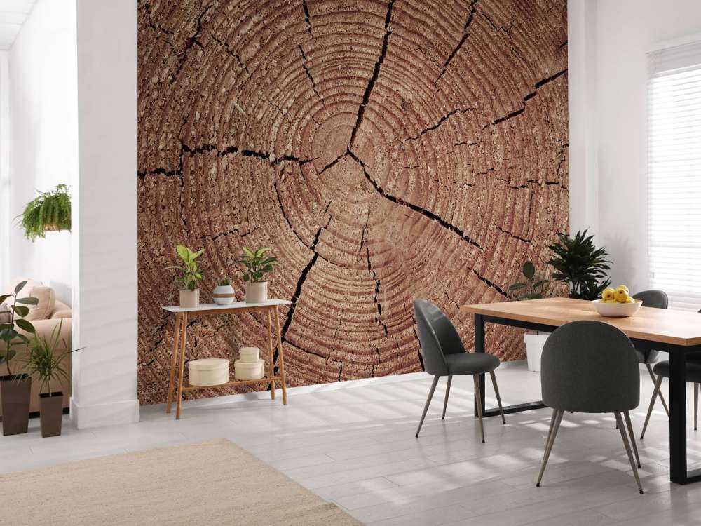 Trunk with annual rings