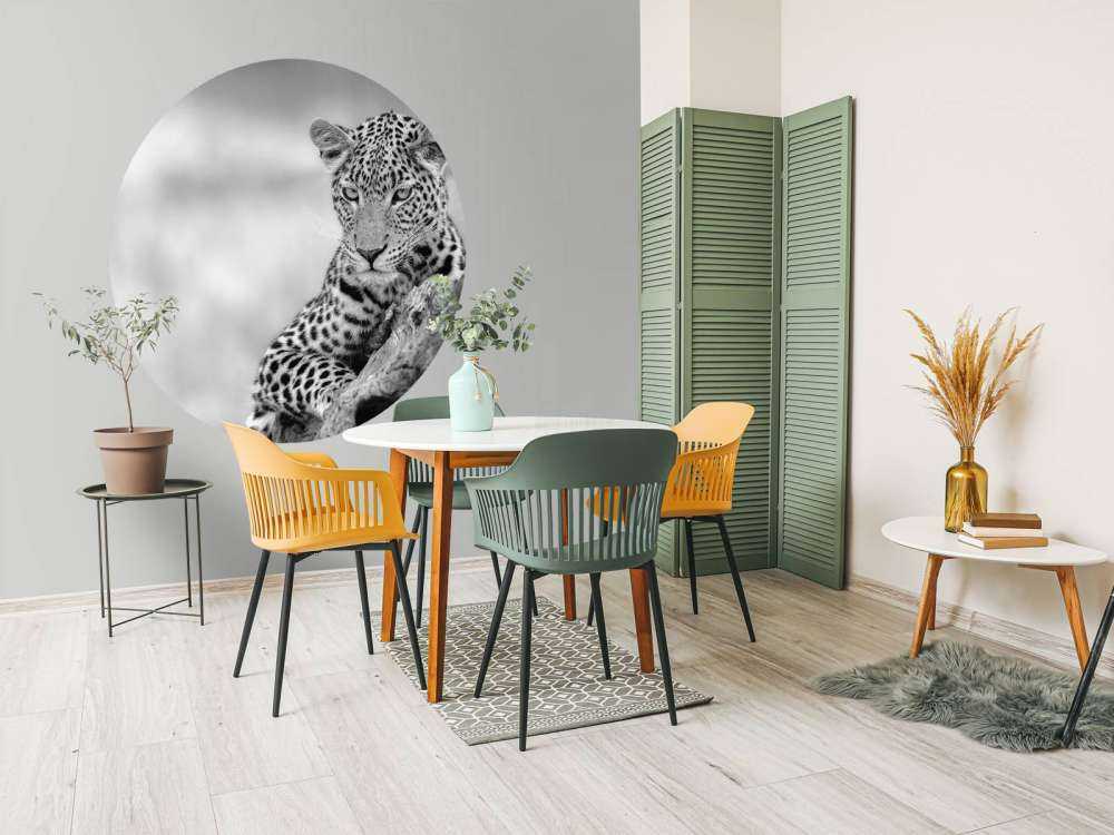 Leopard black, white