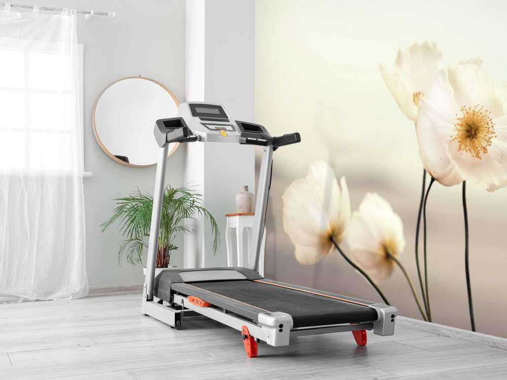 White poppies close-up