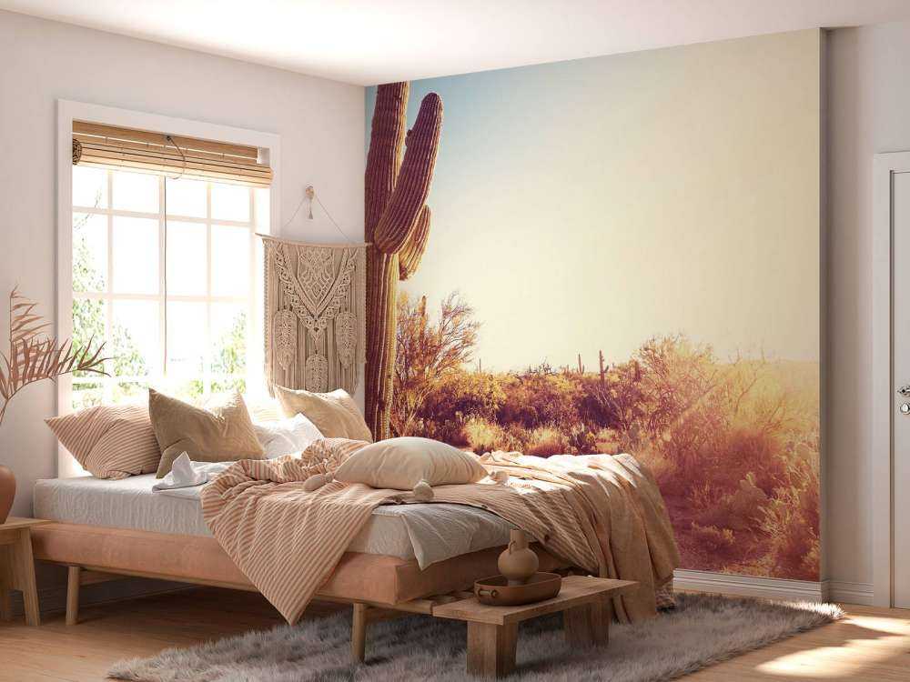 Cactus in the desert