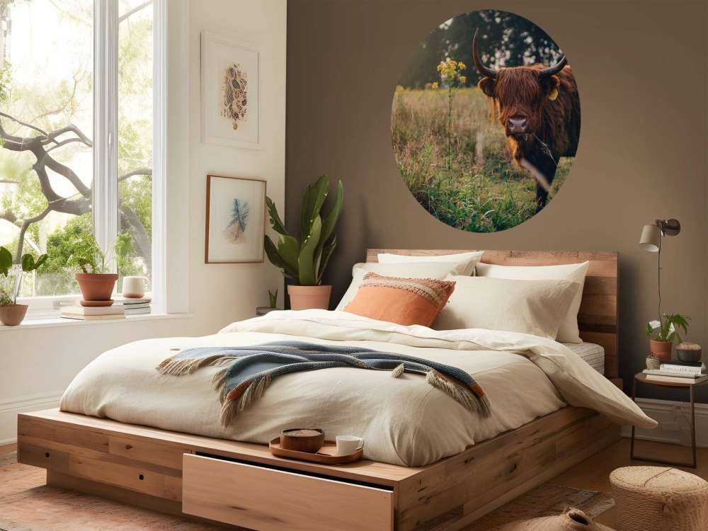 Scottish highlander in the high grass