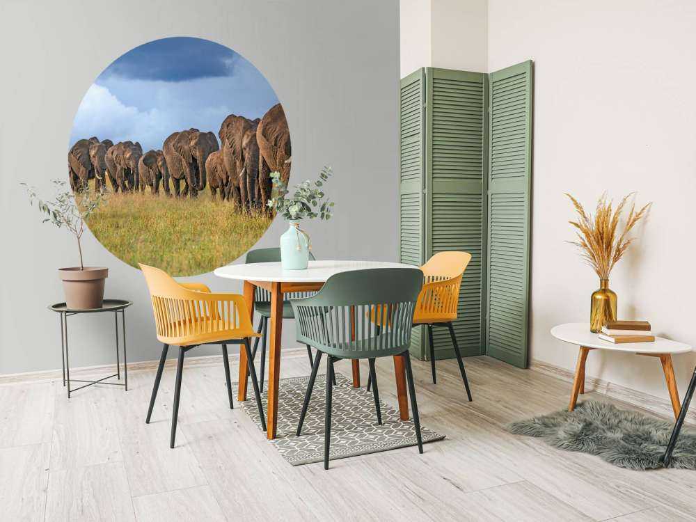 The Land Of The Giants