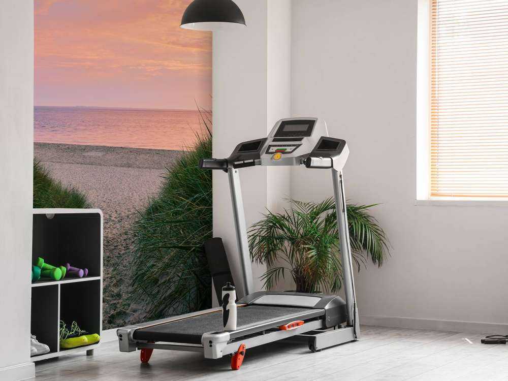 Dune passage with sunrise