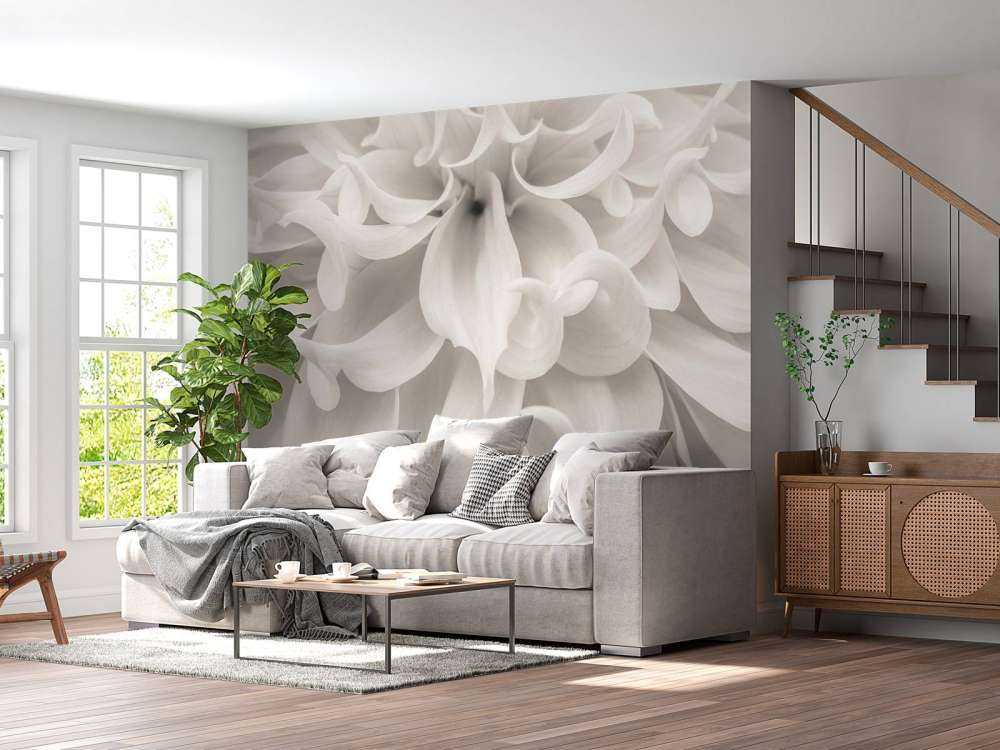 Close-up of Dahlia flower