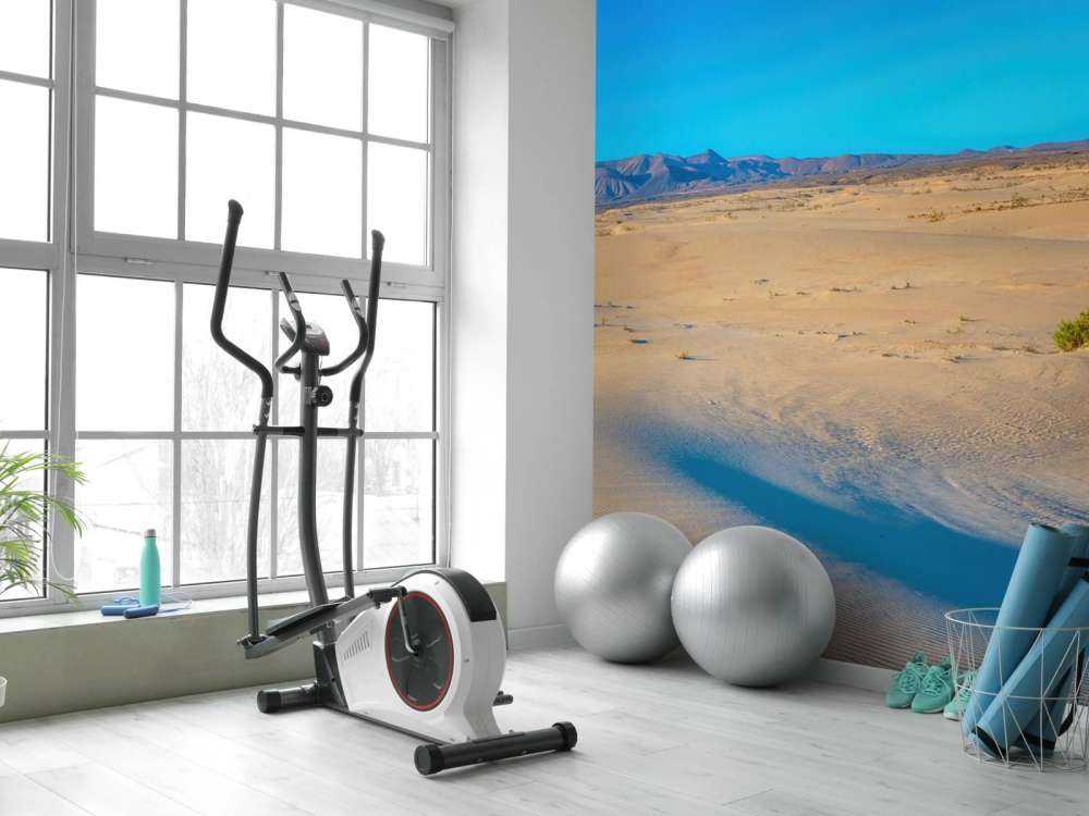 Sunrise over sand dunes