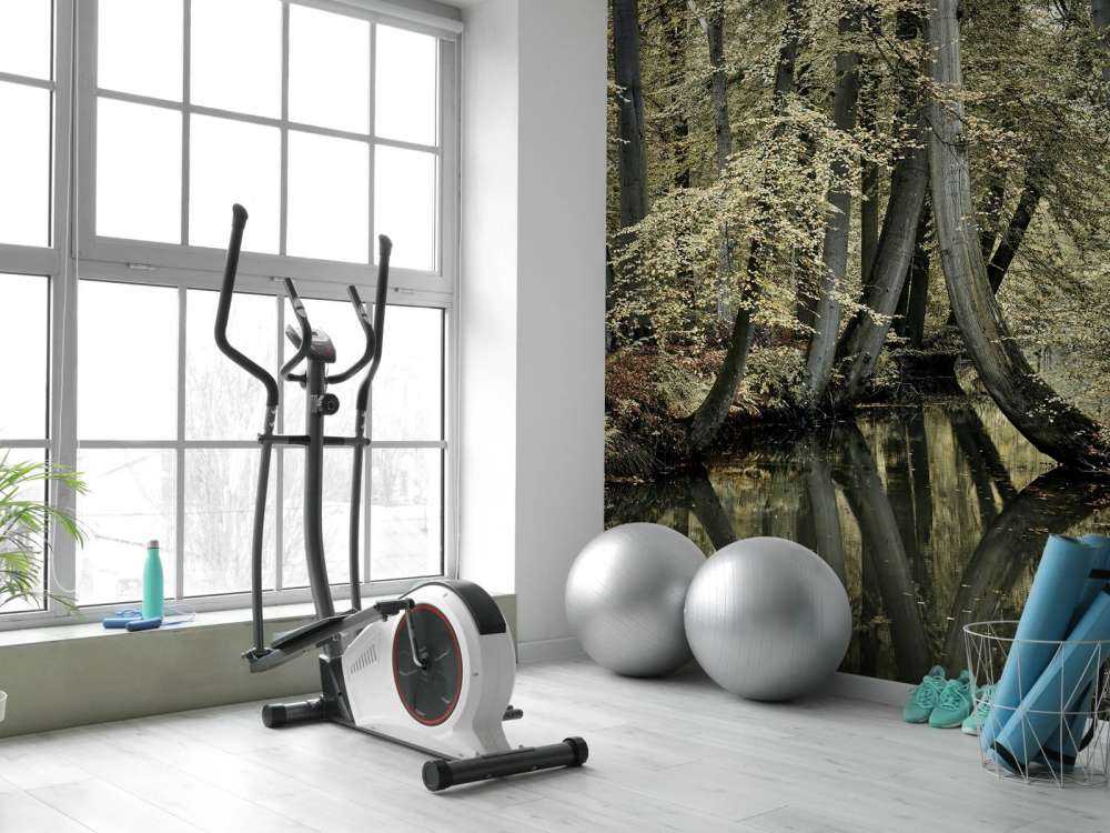 Stream with hanging trees