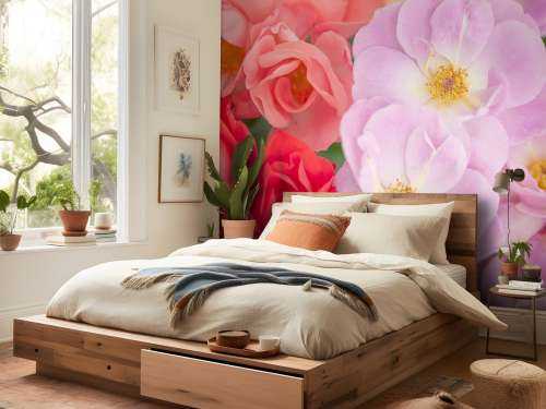 Colorful flowers