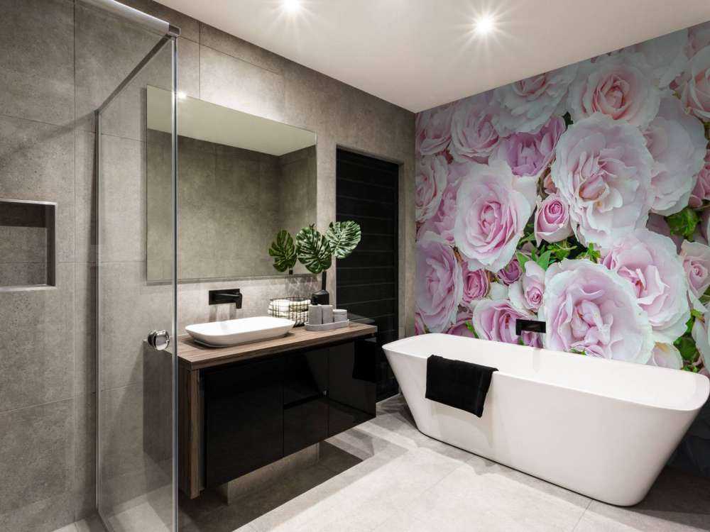 Colorful white and pink roses