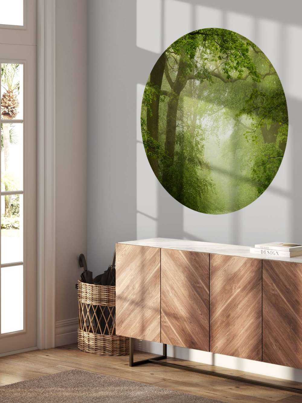 Forest path in the mist