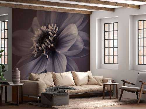 Dark dahlia flower
