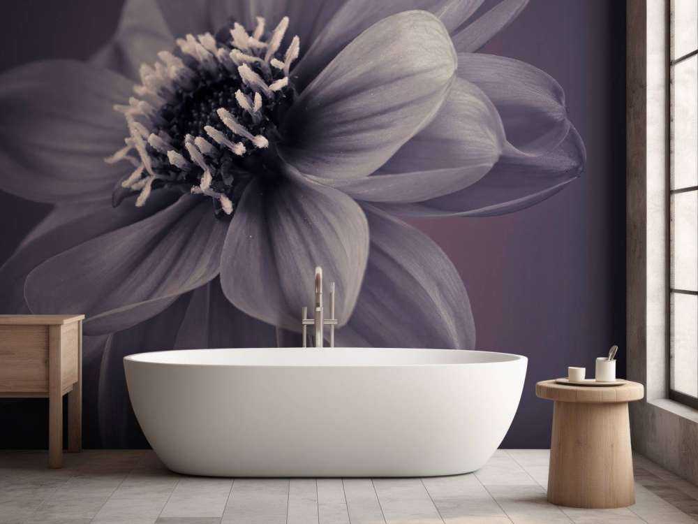 Dark dahlia flower