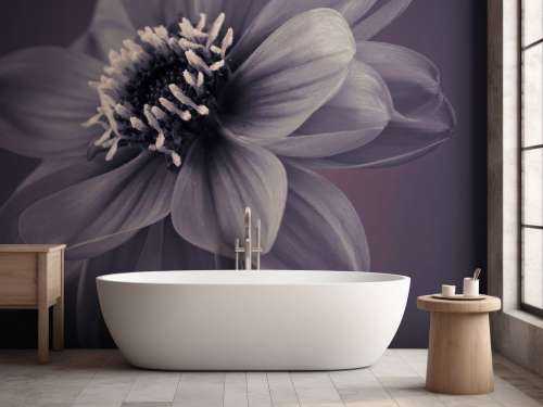Dark dahlia flower