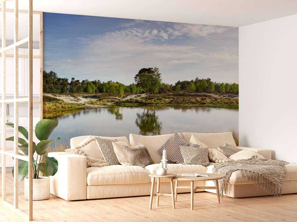 A small forest lake in the heathland area