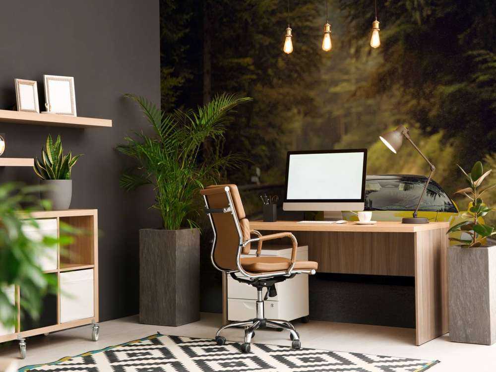 Maserati in the green forest