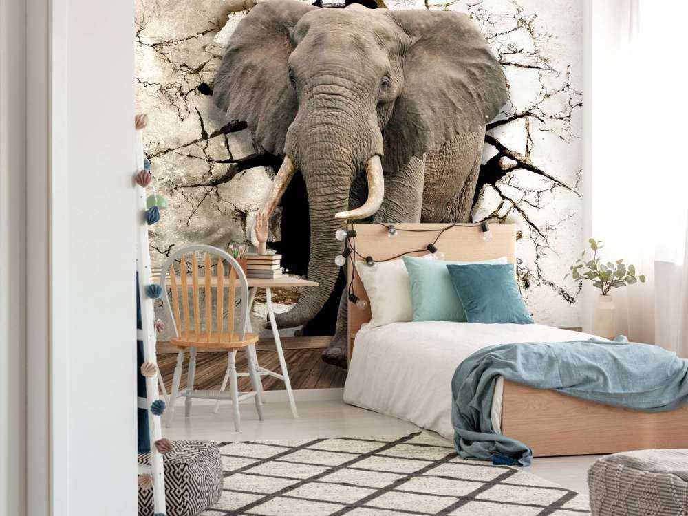 Big elephant out of the wall