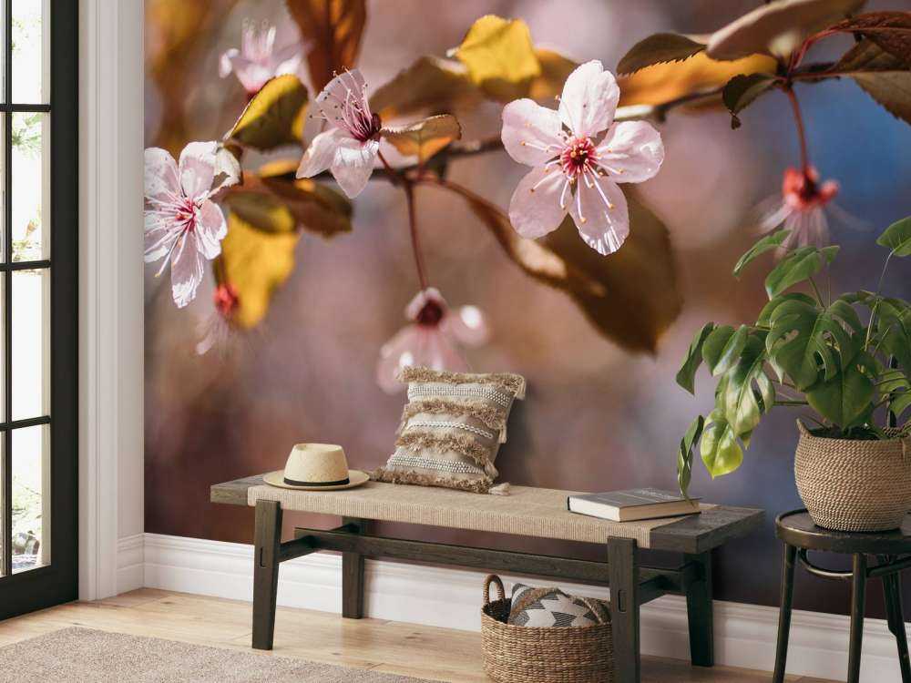 Pink blossoms and brown leaves