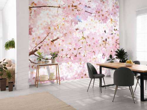 Dense blossoms