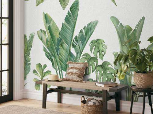 Tropical jungle plants