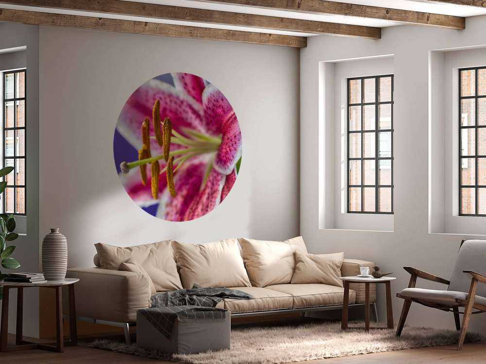 Close-up pink flower