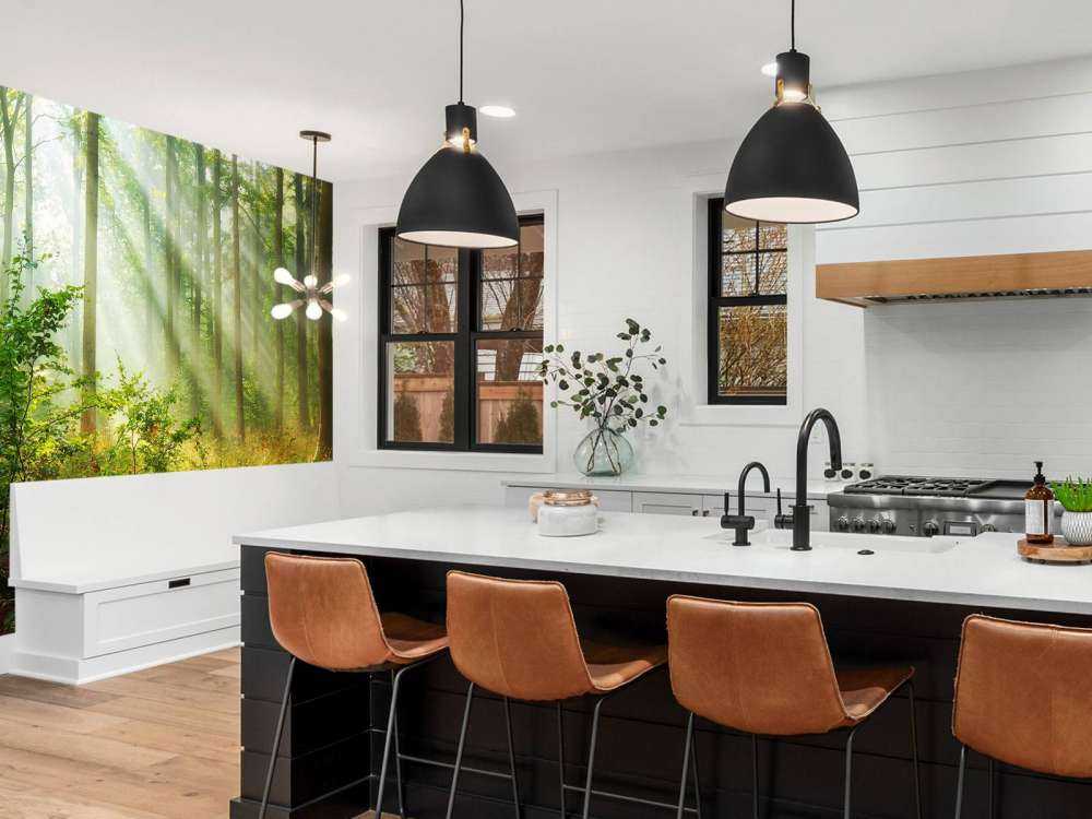 Beautiful morning