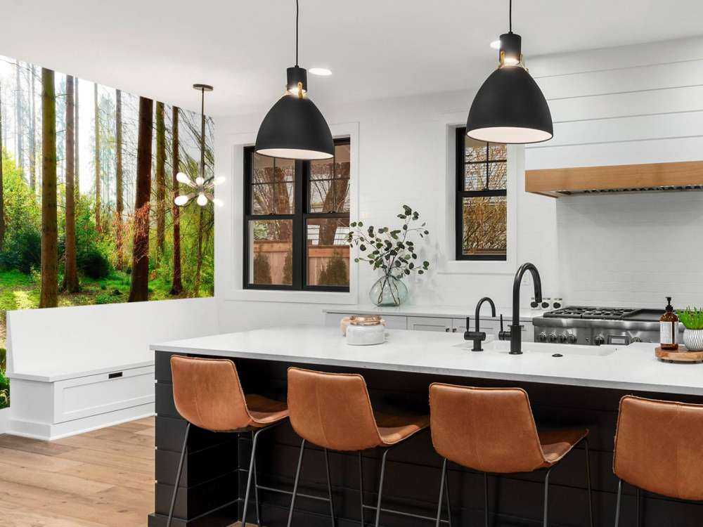 Autumn forest with bright sunlight