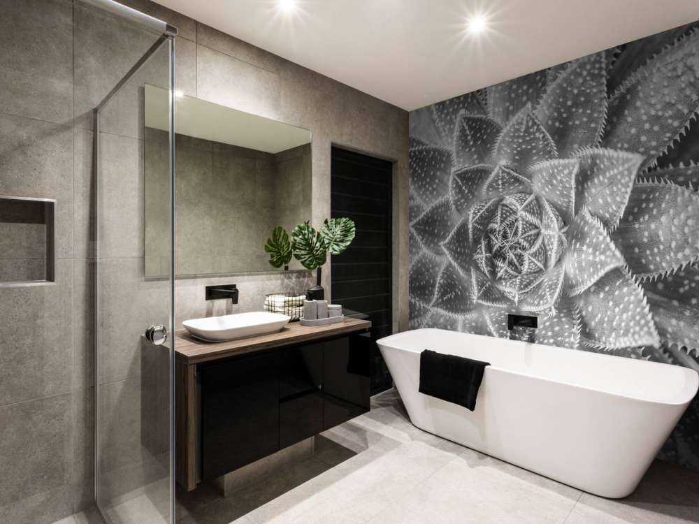 Succulent in black and white