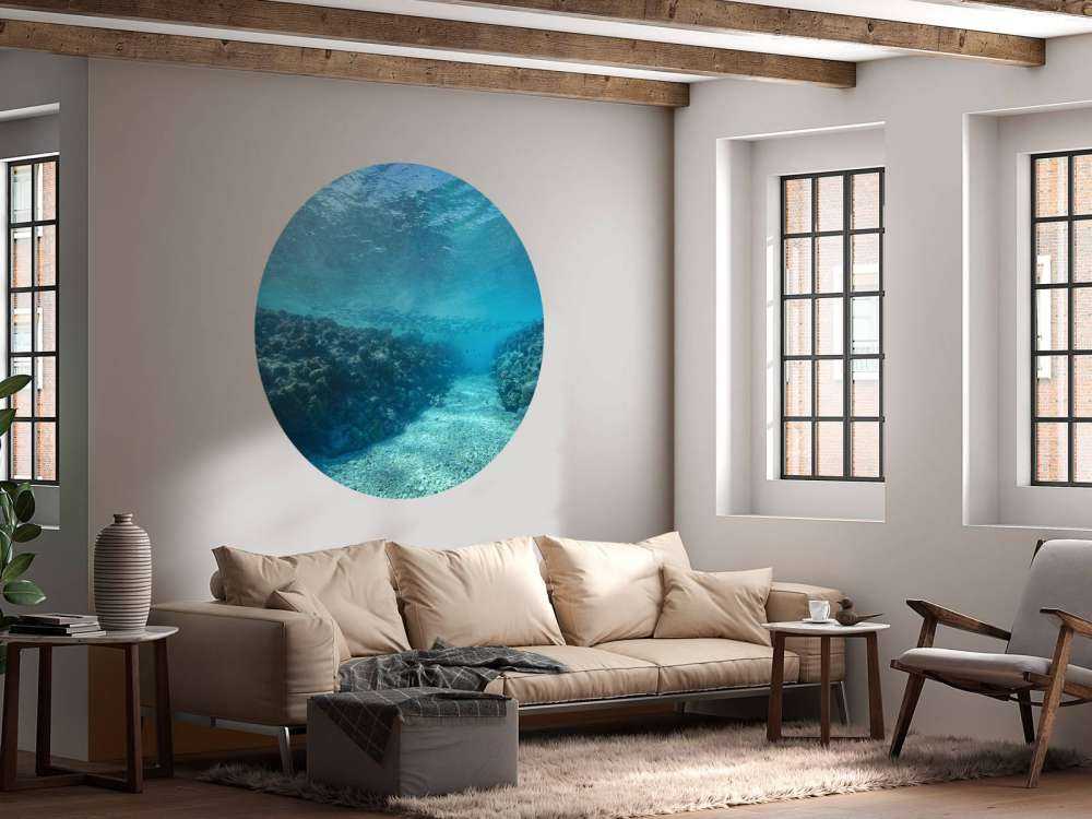 Underwater world with coral