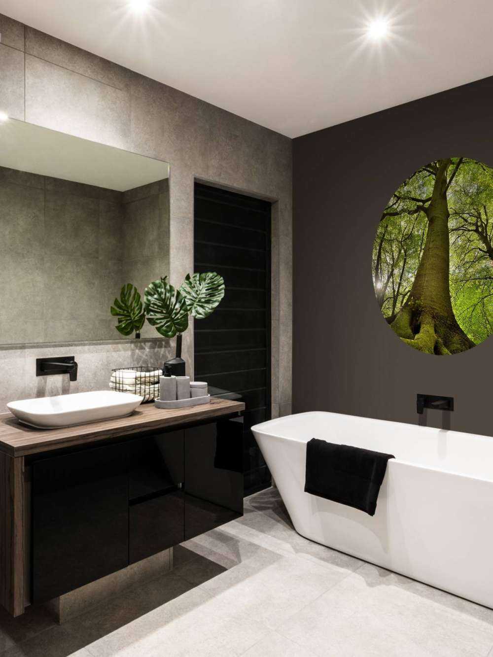 Large tree and roots