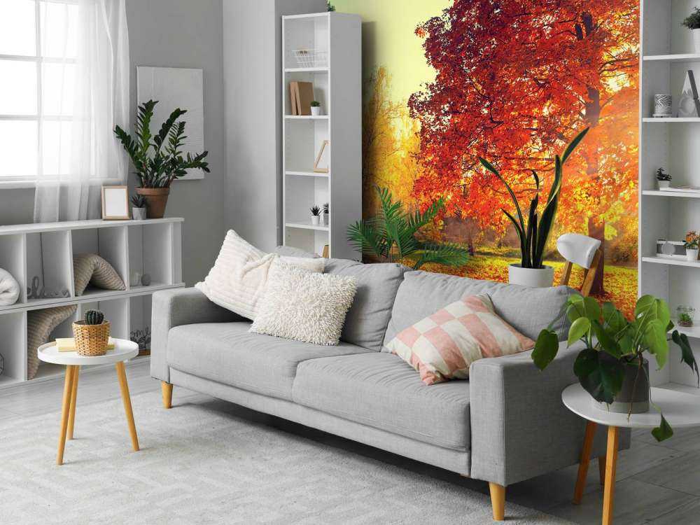 Autumn trees in sunlight