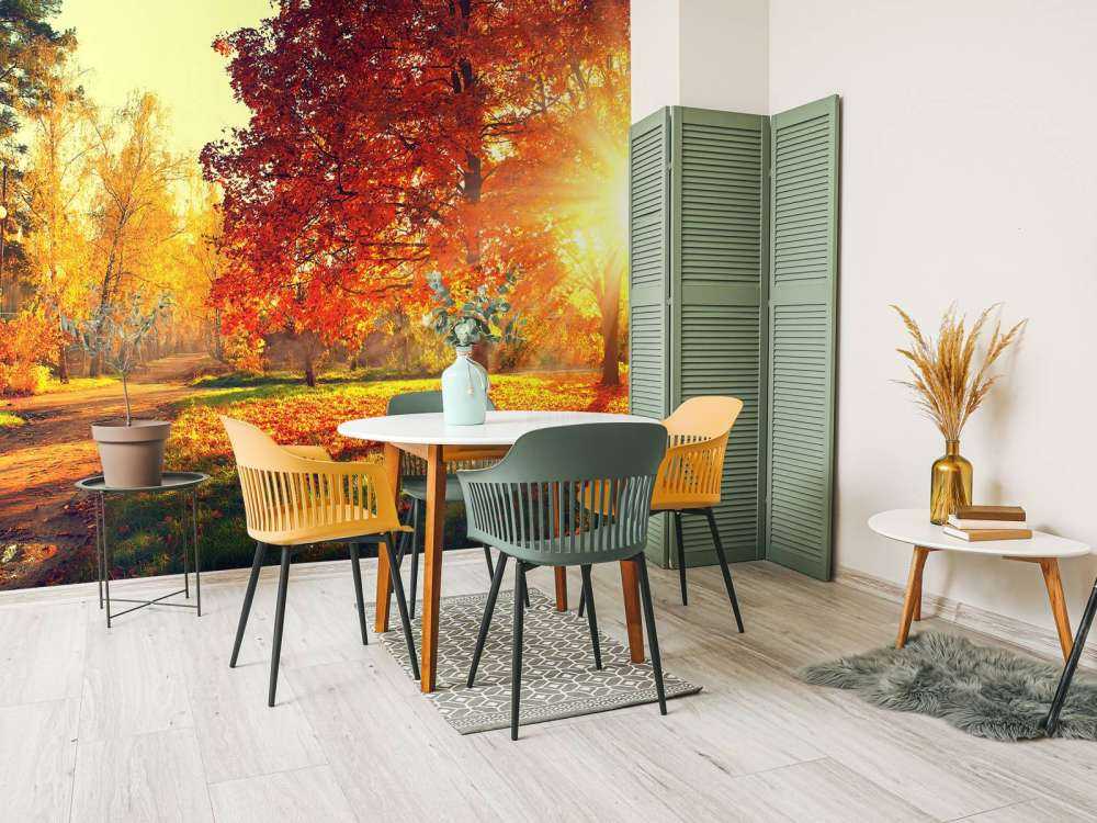 Autumn trees in sunlight