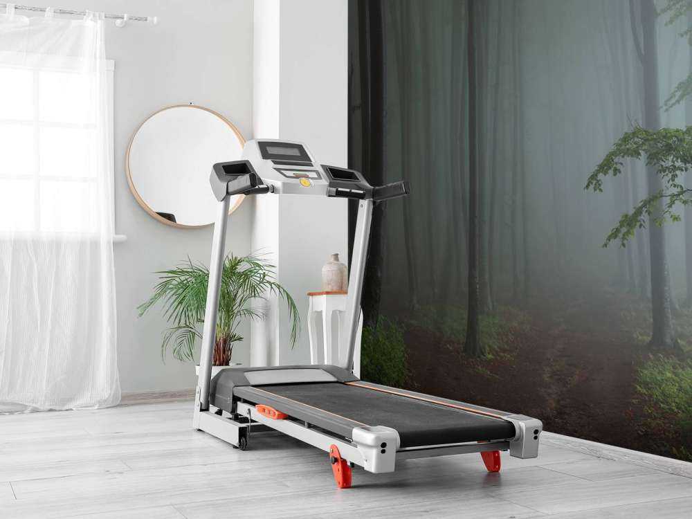 Foggy forest panorama