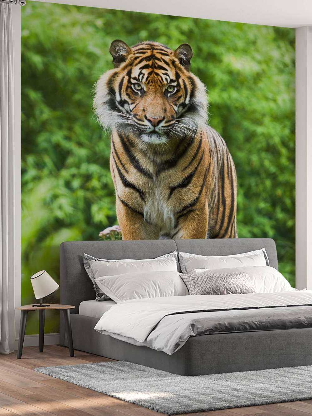 Tiger standing on a stone