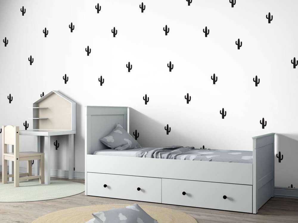 Cacti in black and white