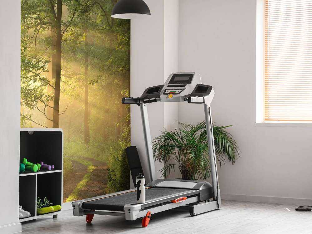 Misty spring morning