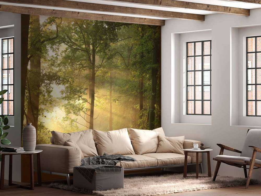 Misty spring morning