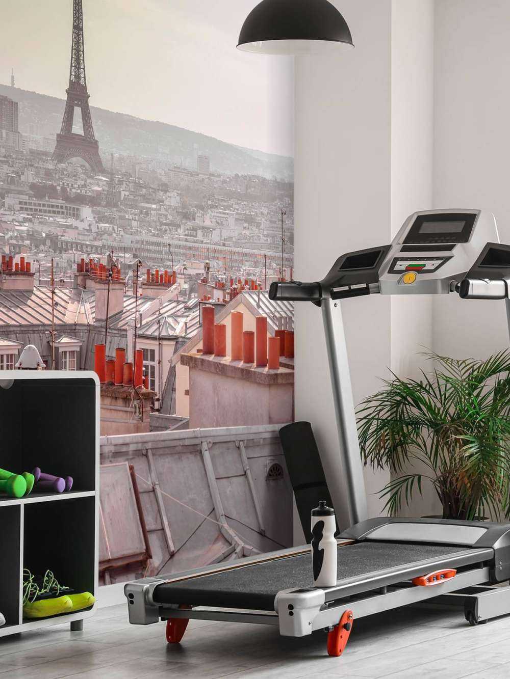 Eiffel Tower from Montmartre